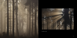 Dziki Hajmat - Las Dioblina